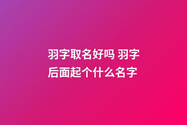 羽字取名好吗 羽字后面起个什么名字